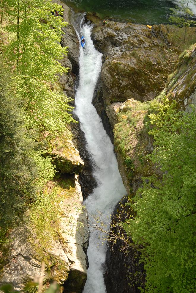 Jak se mění vodáci?  Zajícové na vodě