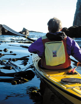 Standa Chládek: S kajakem po světových mořích  (DVD)