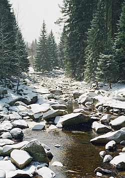 Kam na vodu, když prší?