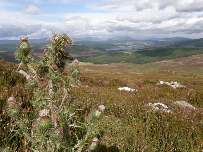 Slalom s vůní whisky – II. díl