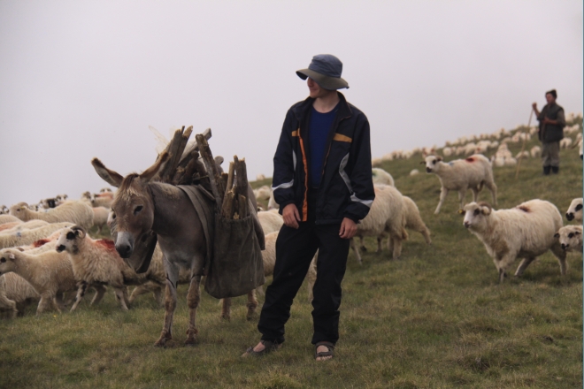 Až se zima zeptá... vol. 1