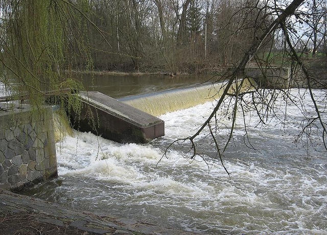 Želvyáda na Cidlině  3. 4. 2010, 1.ročník