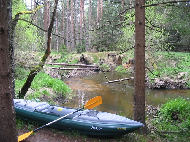 Dračice pro masochisty