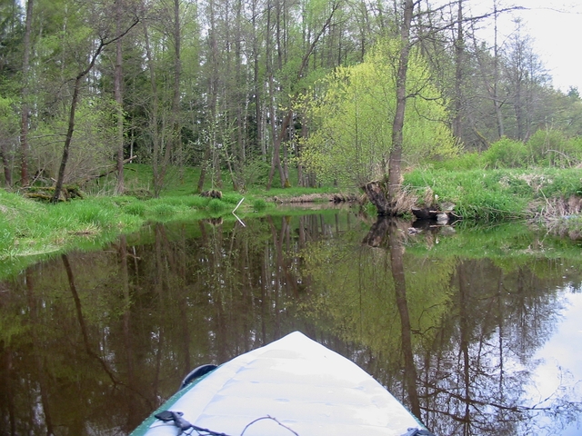 Dračice pro masochisty