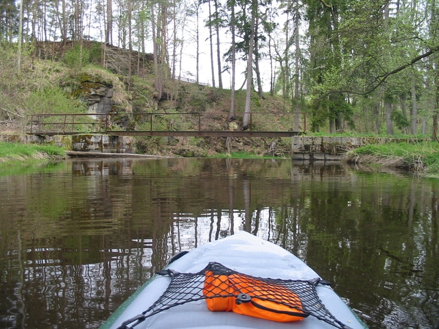 Dračice pro masochisty