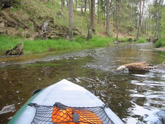 Dračice pro masochisty