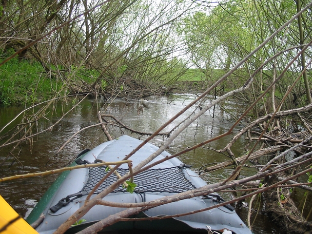 Dračice pro masochisty