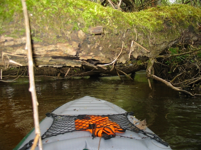 Dračice pro masochisty