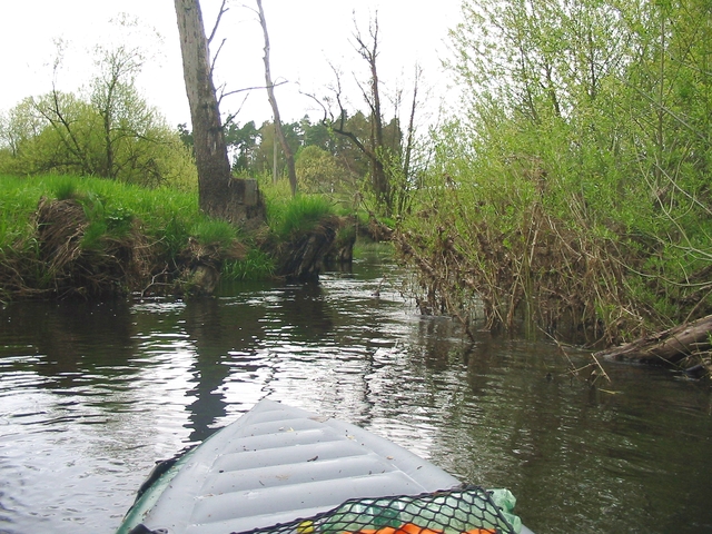 Dračice pro masochisty
