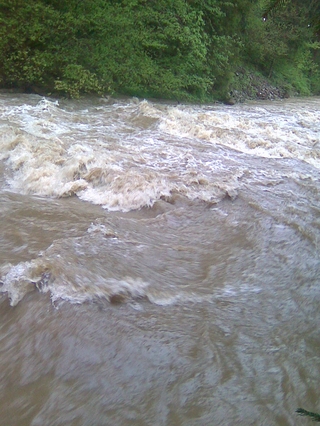 Roháče a Studený potok květen 2010