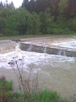 Roháče a Studený potok květen 2010