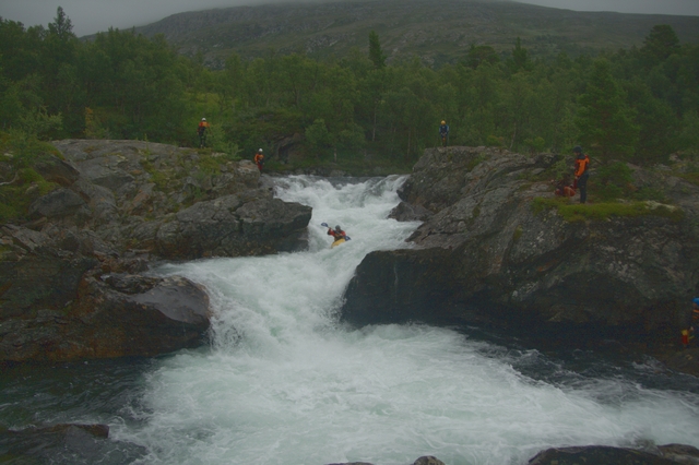 Vodáci pozor na krávy všežravé!!