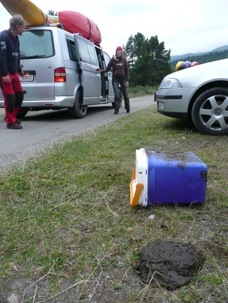 Vodáci pozor na krávy všežravé!!