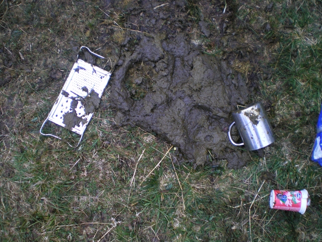 Vodáci pozor na krávy všežravé!!