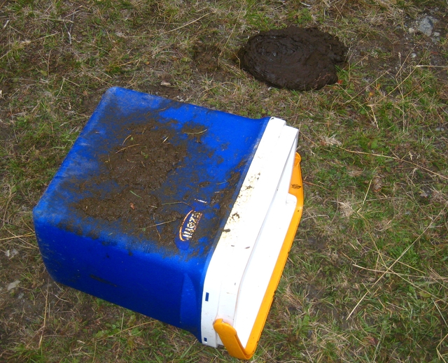 Vodáci pozor na krávy všežravé!!