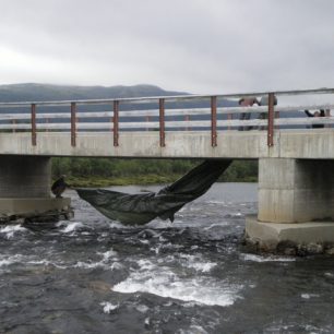Vodáci pozor na krávy všežravé!!