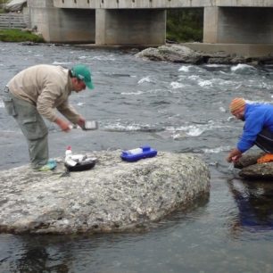 Vodáci pozor na krávy všežravé!!