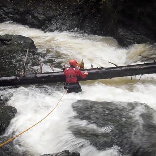 Kamenice prořezaná