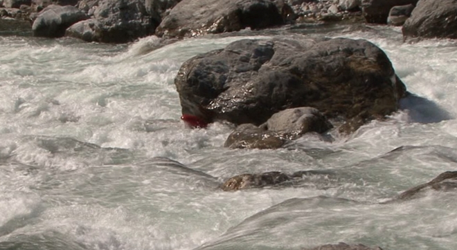 Jak je pod kamenem...