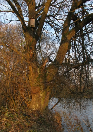 Tajemní poslové noci