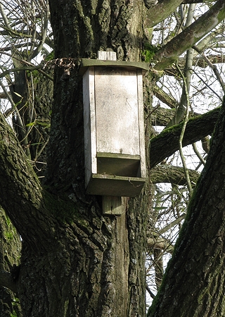 Tajemní poslové noci