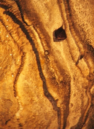 Tajemní poslové noci