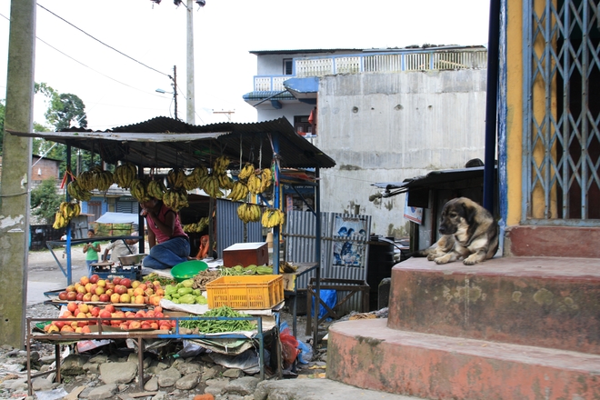 Halo Dunga! aneb nepálské dobrodružství