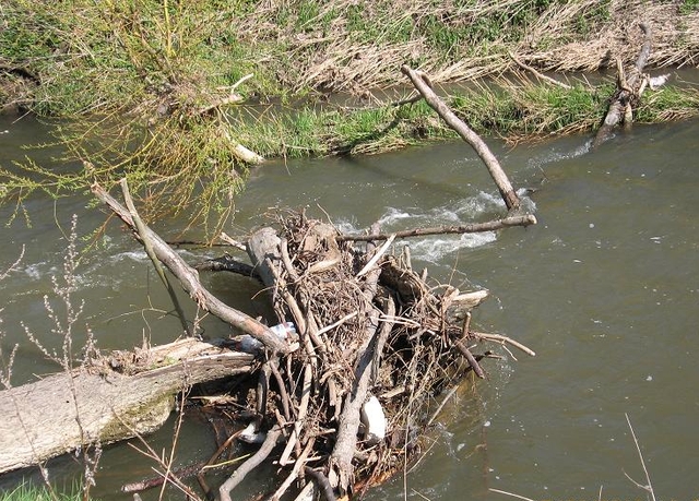 Za blbost se platí ...