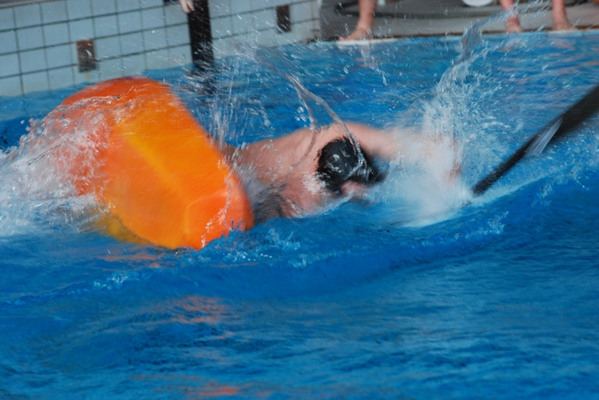 Divoká karta pro divoké eskymáky