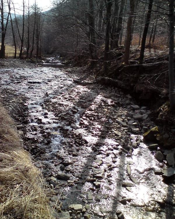 Mohelnice – královna bez koruny
