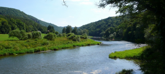 Čištění Berounky