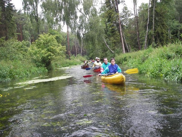 Wel, Gwda, Wda a ty ostatní…