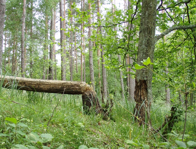 Wel, Gwda, Wda a ty ostatní…