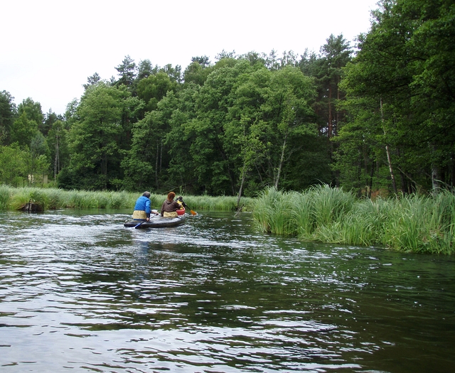 Wel, Gwda, Wda a ty ostatní…