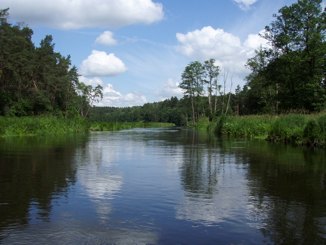 Wel, Gwda, Wda a ty ostatní…