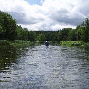 Wel, Gwda, Wda a ty ostatní…