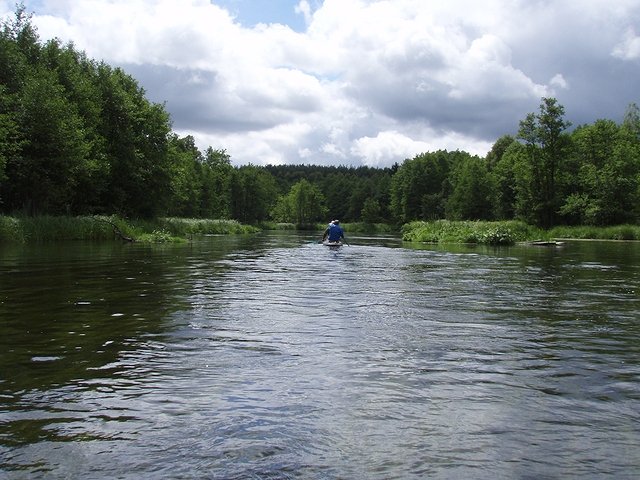 Wel, Gwda, Wda a ty ostatní…