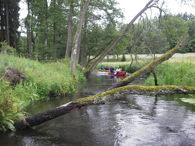 Wel, Gwda, Wda a ty ostatní…