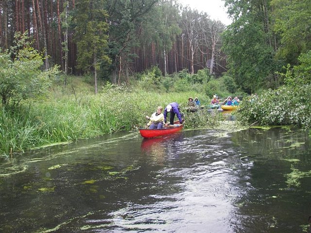 Wel, Gwda, Wda a ty ostatní…