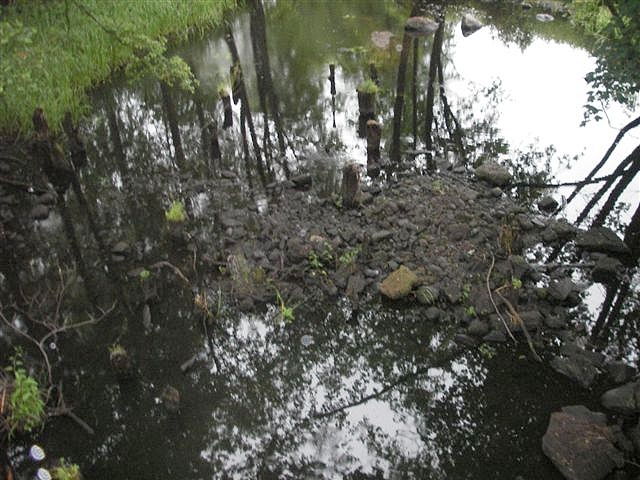 Wel, Gwda, Wda a ty ostatní…