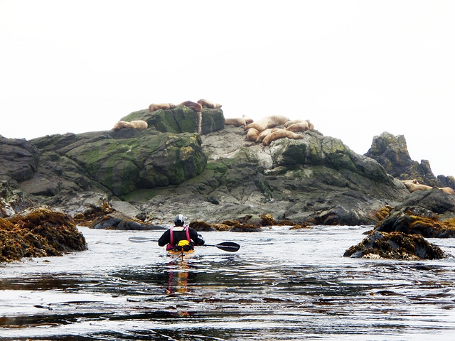 Aleutská odysea 2001 – 2011