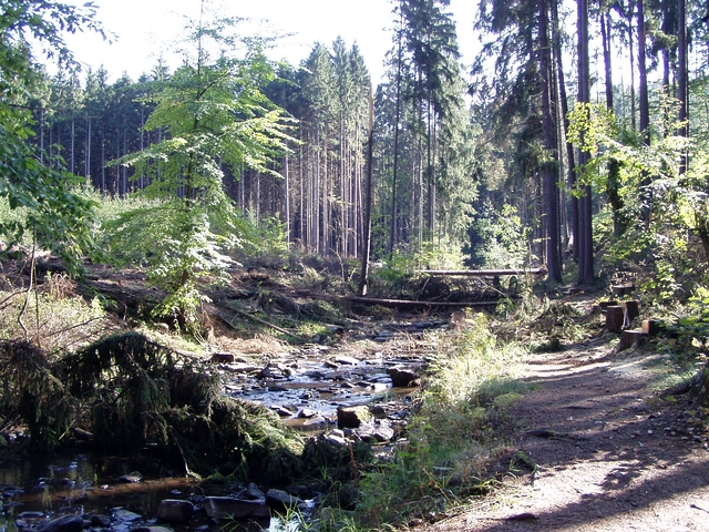 Čištění Vavřineckého potoka