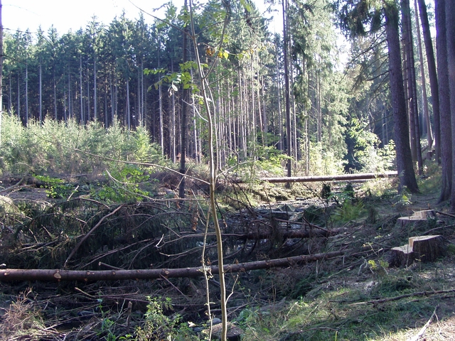 Čištění Vavřineckého potoka