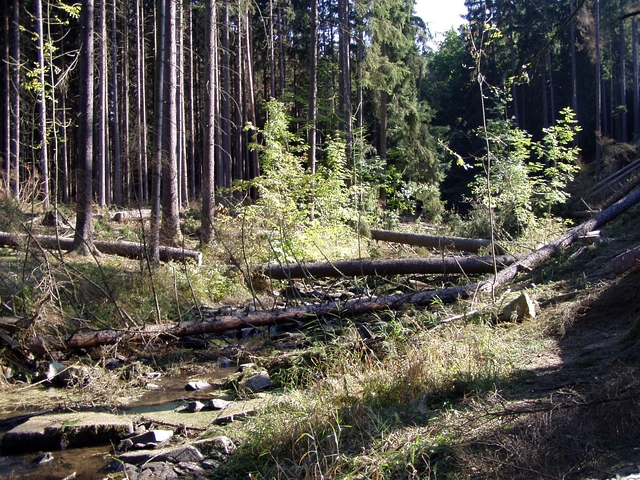 Čištění Vavřineckého potoka