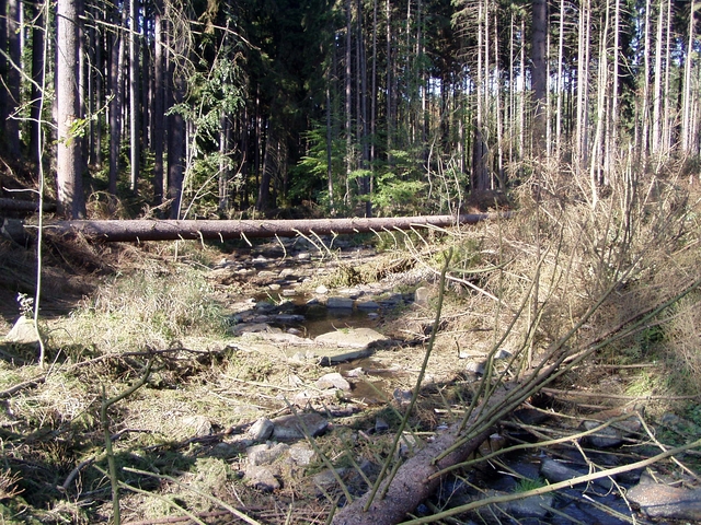 Čištění Vavřineckého potoka