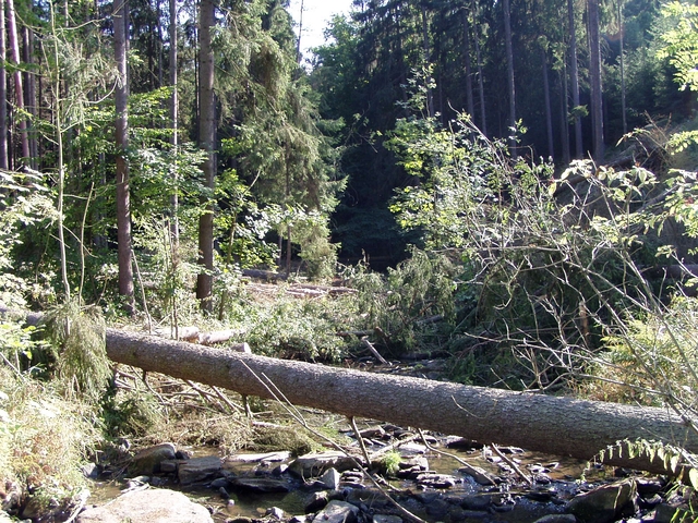 Čištění Vavřineckého potoka