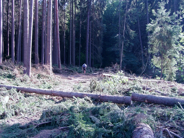 Čištění Vavřineckého potoka