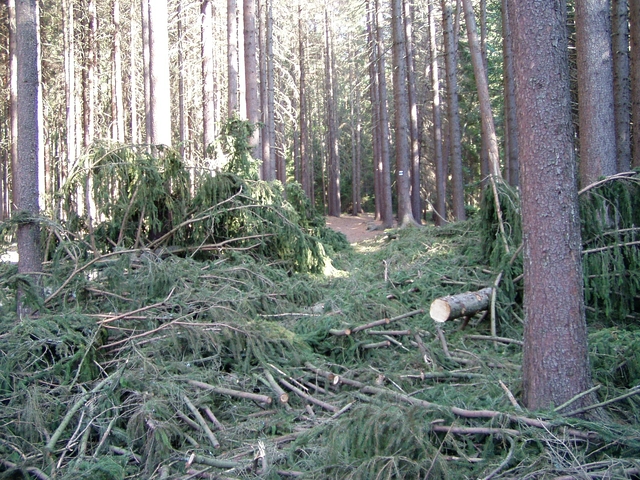 Čištění Vavřineckého potoka