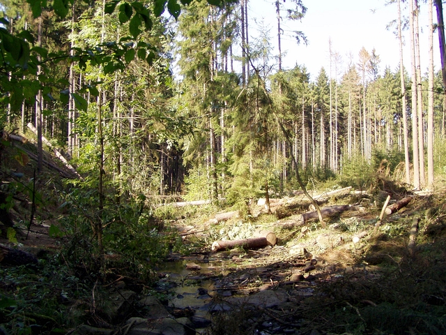 Čištění Vavřineckého potoka