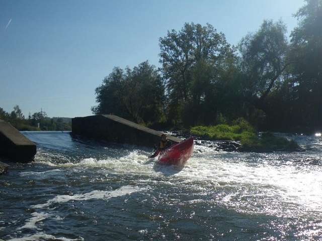 Sázavské hemžení